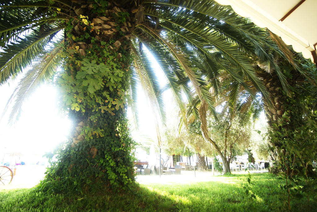 Possidona Beach Hotel Gerakini Exterior photo